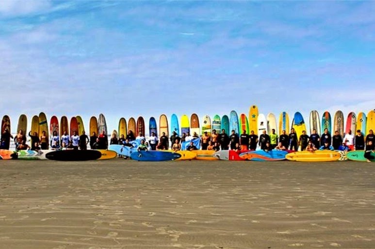 Surfistas com pranchas enfileiradas na areia