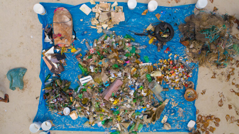 Resíduos recolhidos em limpeza de praia dispostos sobre lona azul