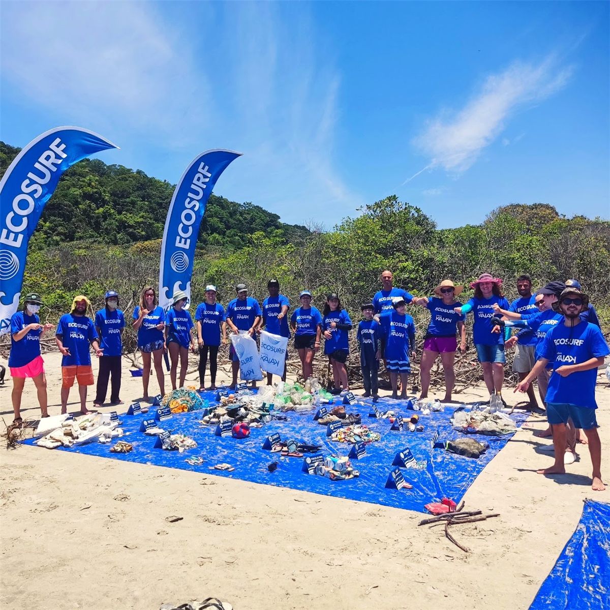 Impactos do Projeto Limpeza de Praia, foto 1