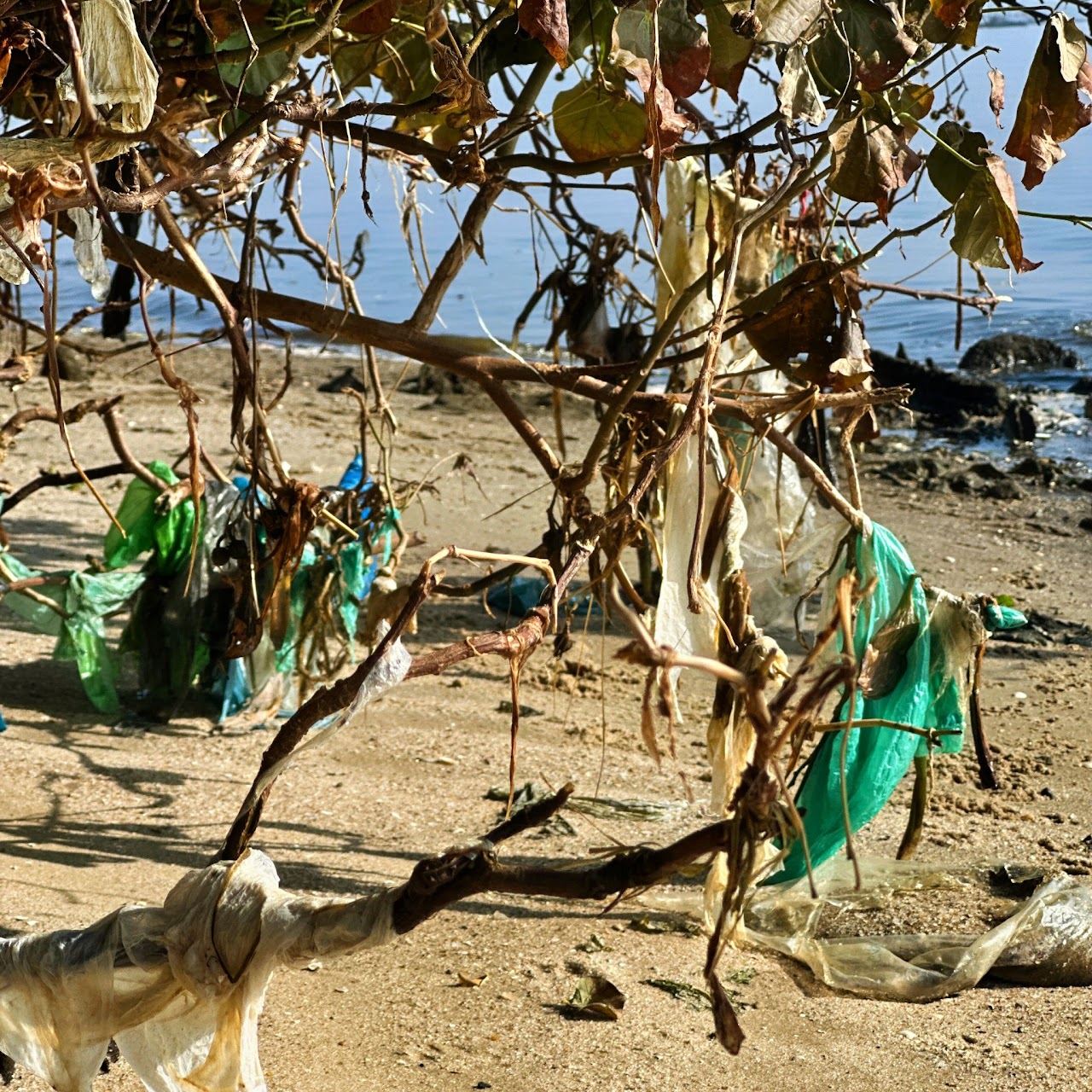 Cenário da poluição encontrada pela Missão Oceano, foto 1