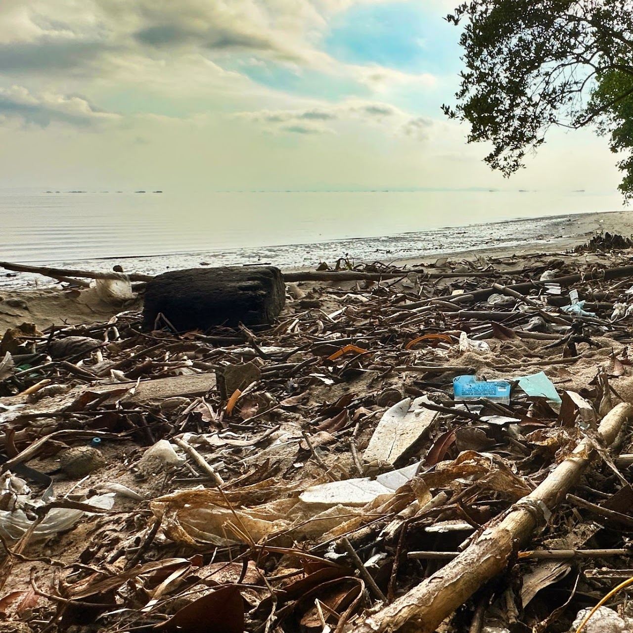 Cenário da poluição encontrada pela Missão Oceano, foto 3