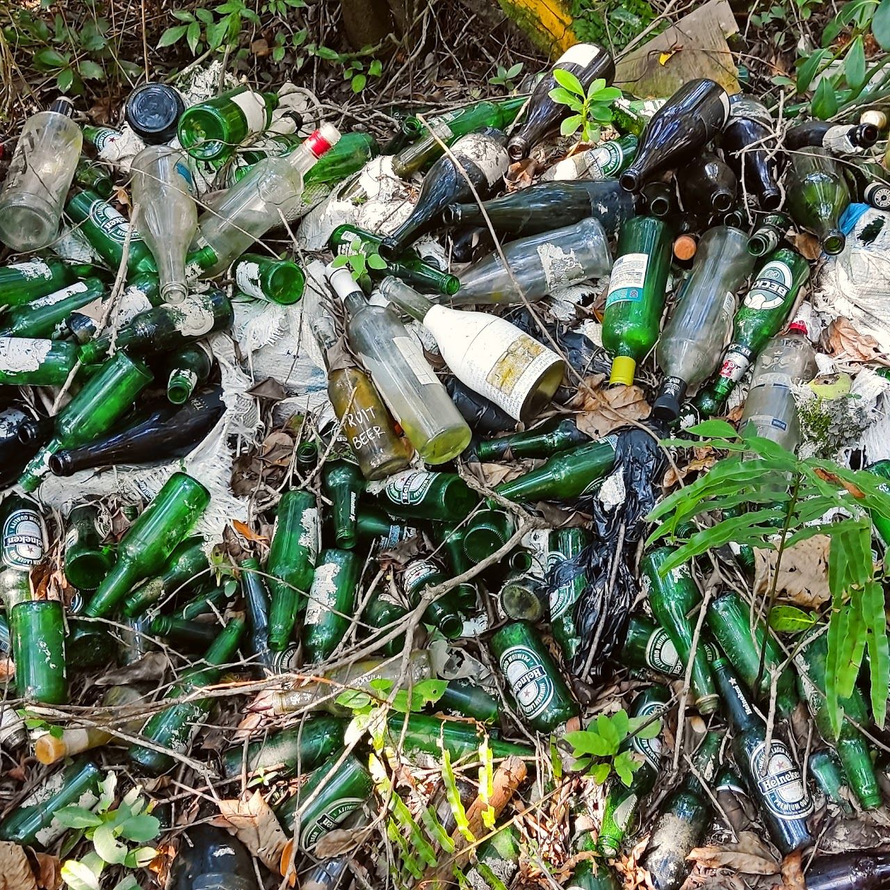 Cenário da poluição encontrada pela Missão Oceano, foto 5