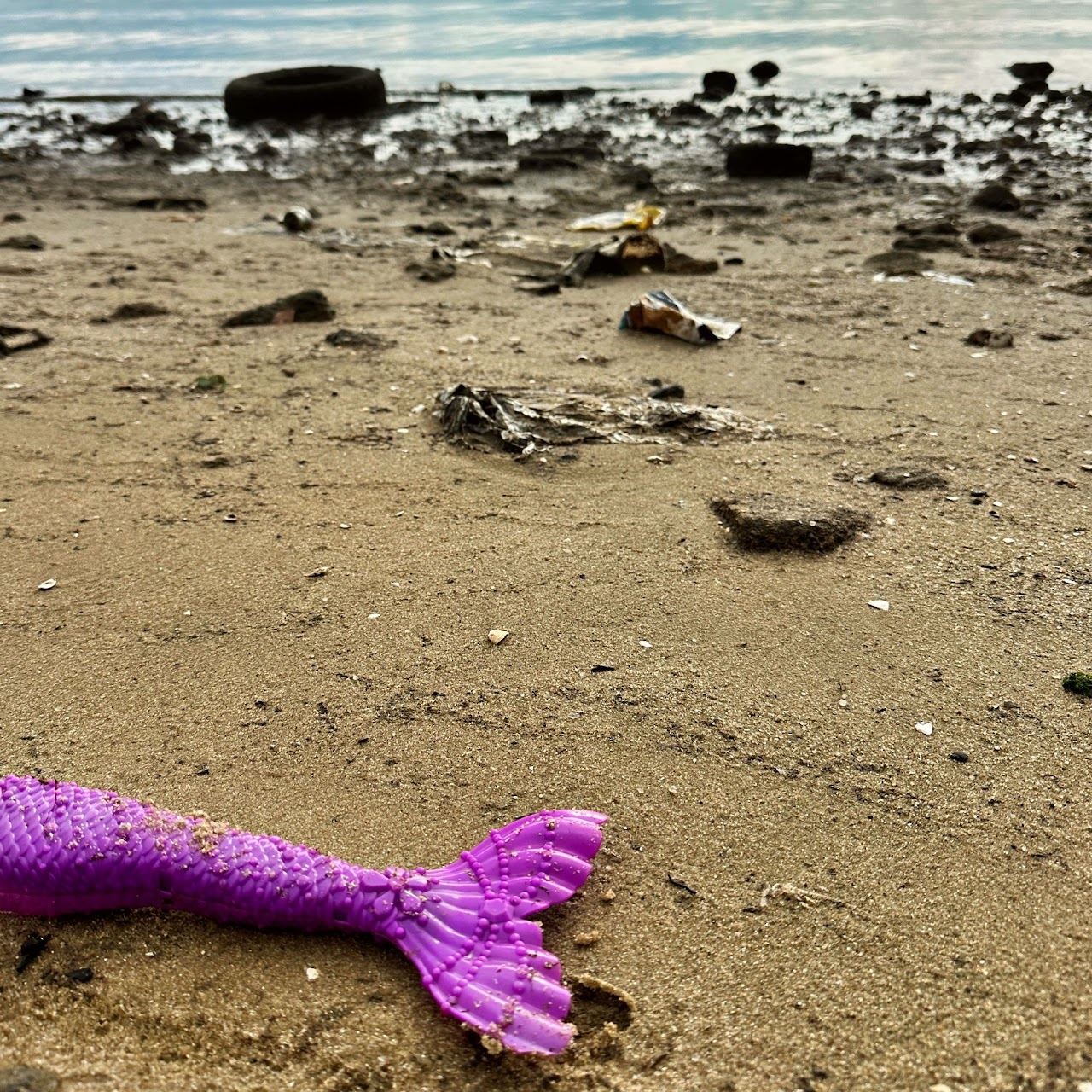 Cenário da poluição encontrada pela Missão Oceano, foto 6