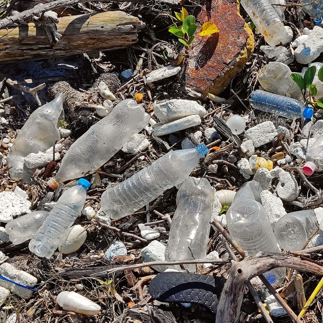 Cenário da poluição encontrada pela Missão Oceano, foto 7