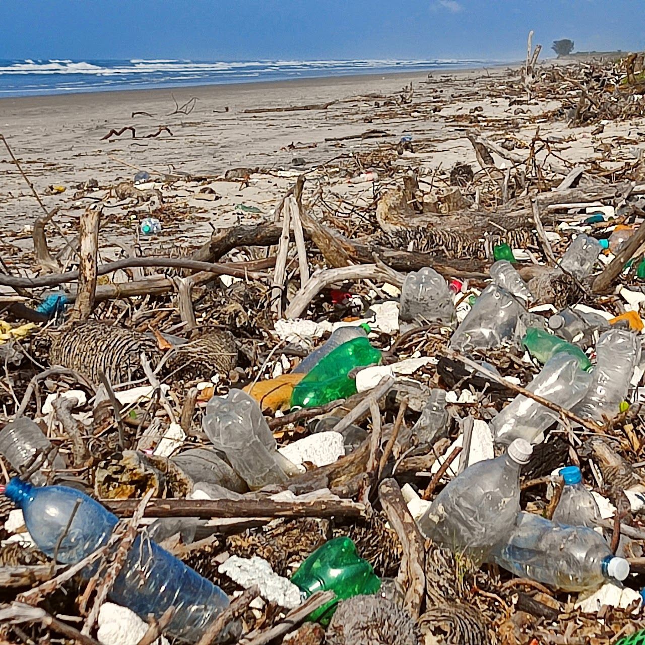Cenário da poluição encontrada pela Missão Oceano, foto 9
