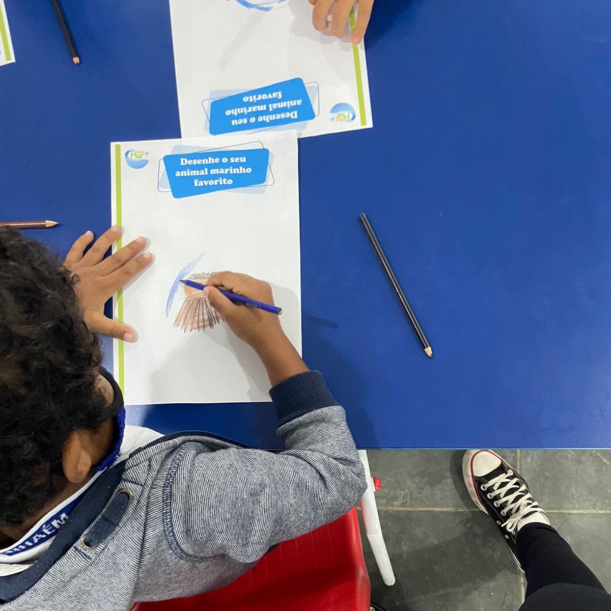 Educomunicação do Oceano na Escola