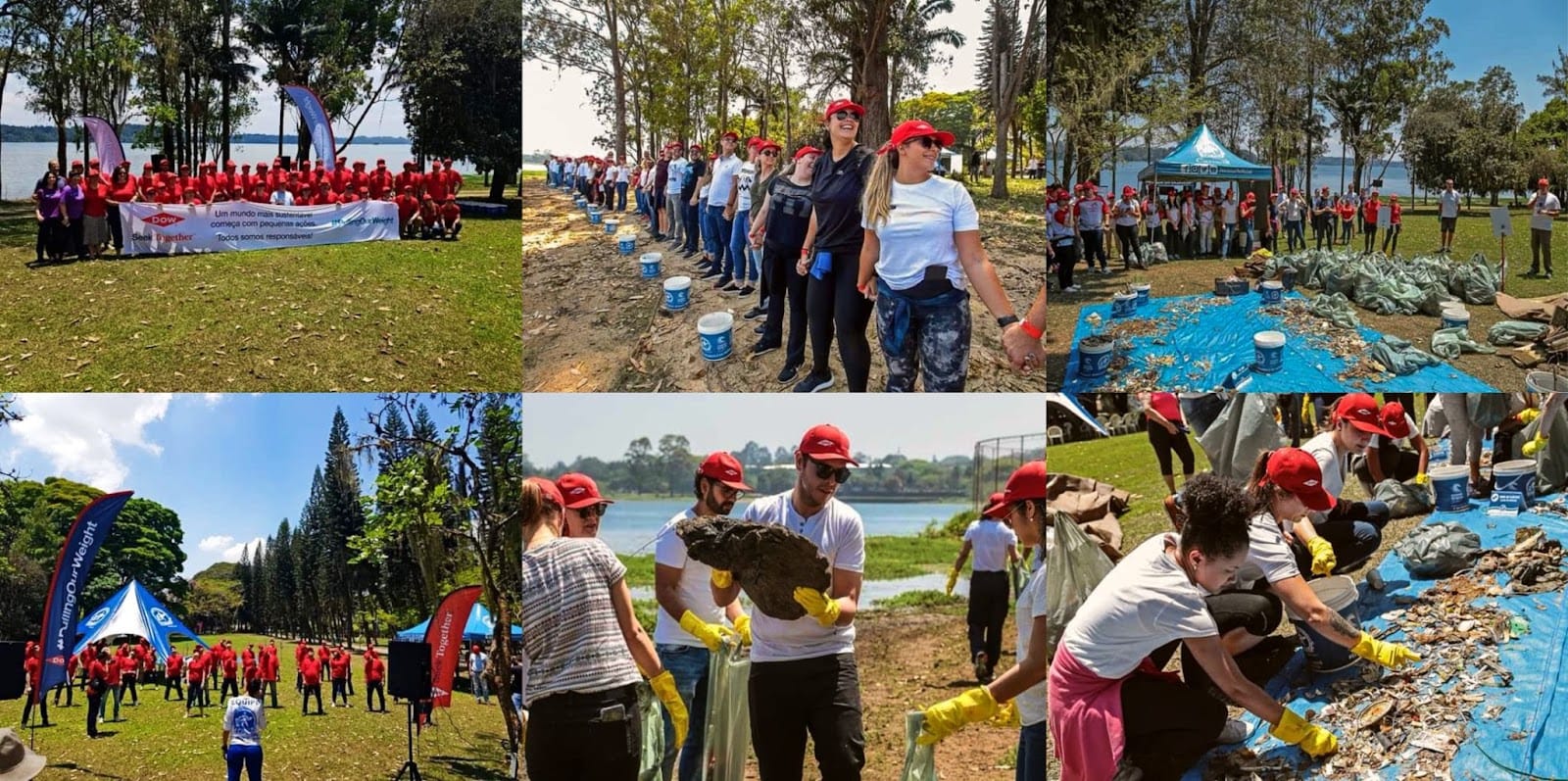 Mosaico de ações de voluntariado corporativo do Ecosurf