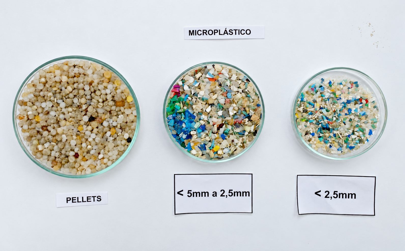 Três placas de Petri com pellets, fragmentos de 5 a 2,5 mm e fragmentos menores que 2,5 mm