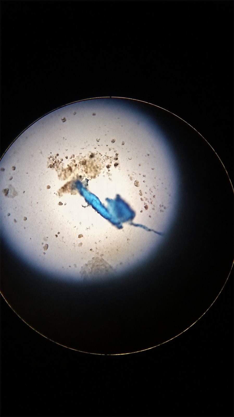 Partícula azul vista pela ocular do microscópio